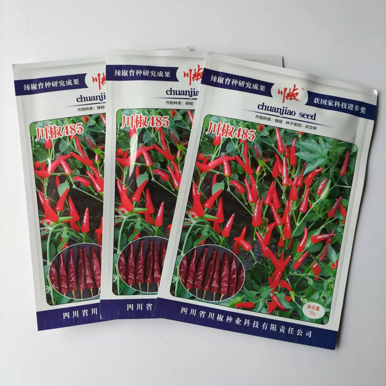 川椒485朝天椒种子极早熟鲜食干制小型辣椒种籽辣味香浓蔬菜种子