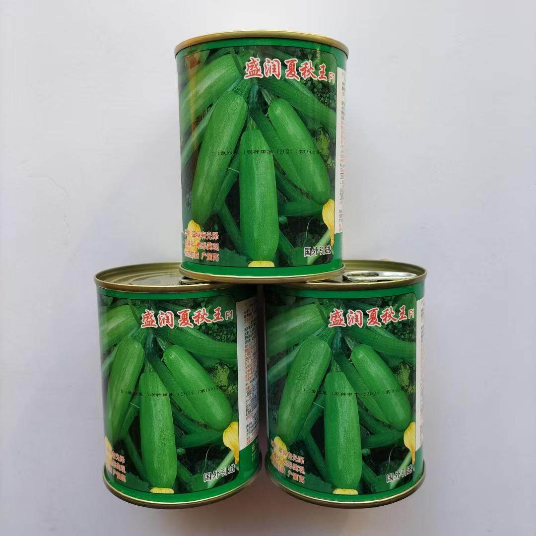 盛润夏秋王西葫芦种子进口引进耐热翠绿抗病露地专用西葫芦瓜种籽
