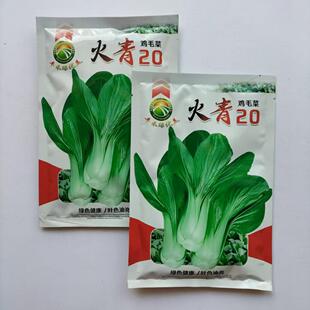 火青20青菜种子上海青鸡毛菜种籽浅绿油亮小油菜蔬菜种籽四季播种
