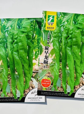 时田旋早龙椒辣椒种子早熟螺丝椒种籽皮薄辣味香浓羊角螺旋形辣椒