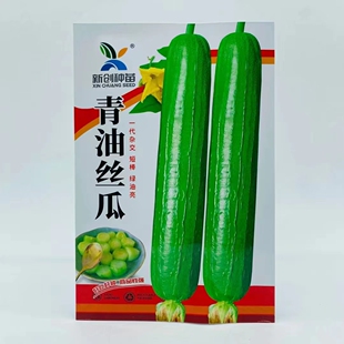 新创种苗青油丝瓜种子短棒绿油亮厚肉丝瓜种籽春秋播种蔬菜籽高产