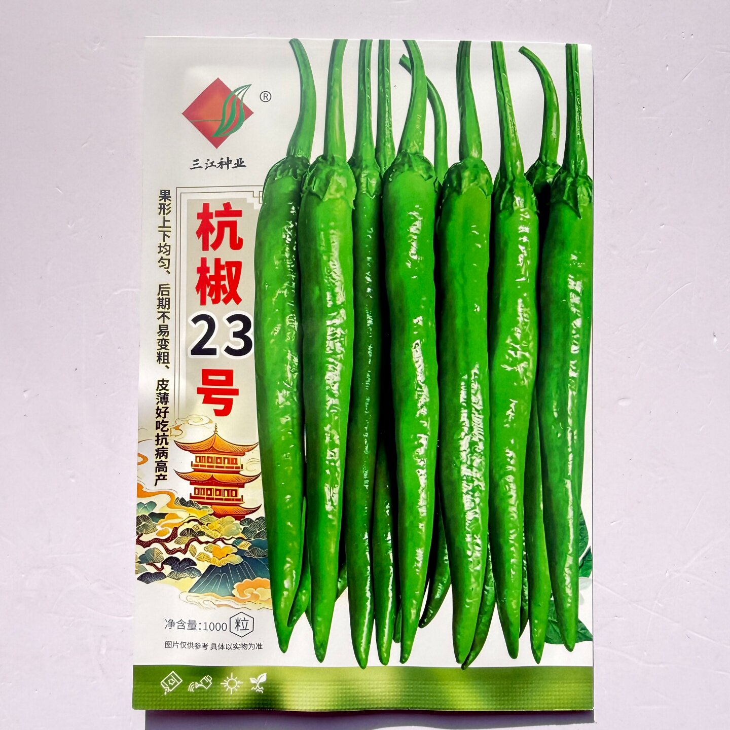 杭椒23号辣椒种子中熟鲜食杭椒蔬菜种子/种苗