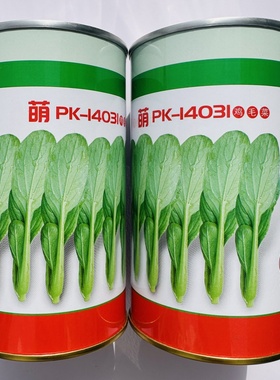 微萌PK-14031鸡毛菜种子耐热耐湿速生型小青菜种籽春秋播蔬菜种孑