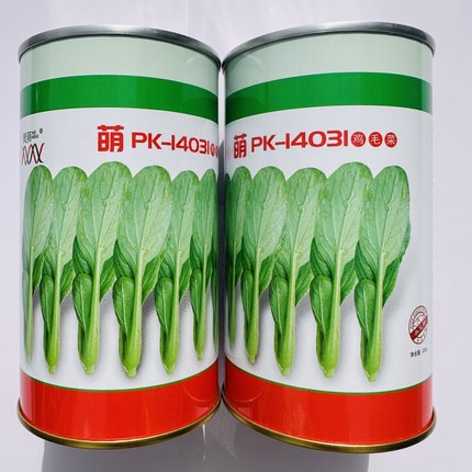 微萌PK-14031鸡毛菜种子耐热耐湿速生型小青菜种籽春秋播蔬菜种孑