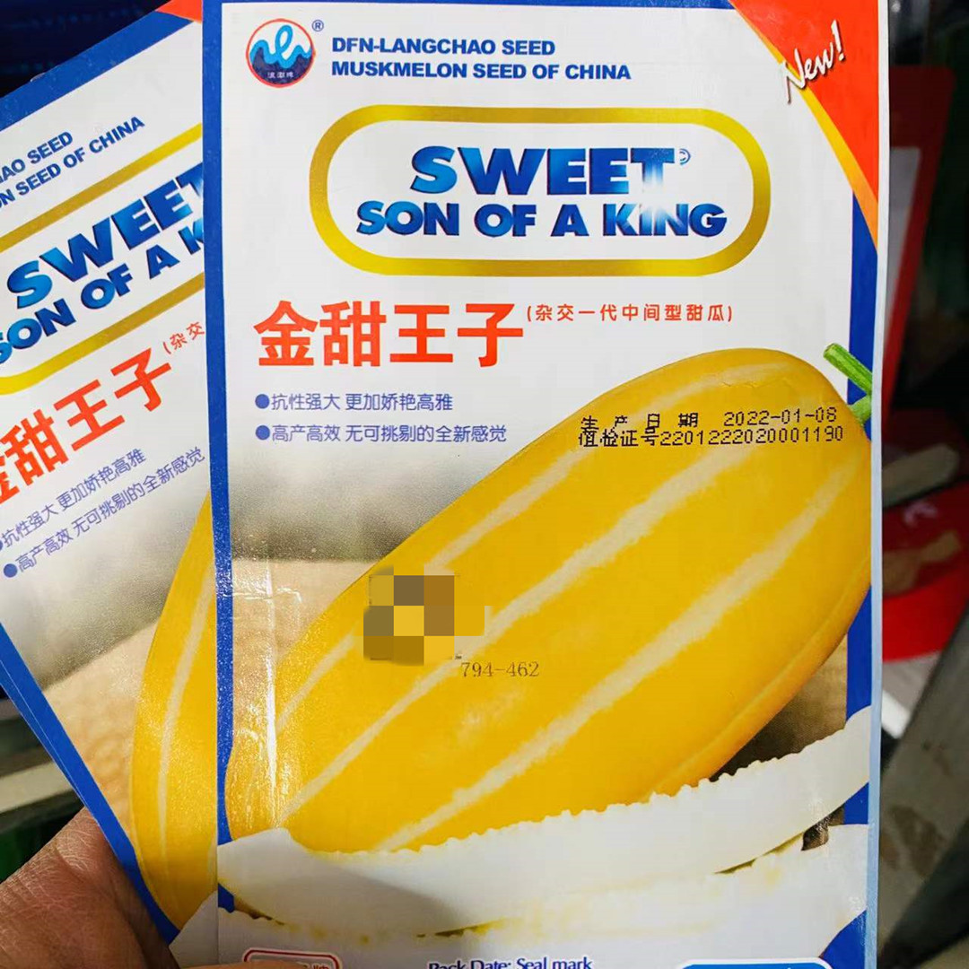 金甜王子甜瓜种子水果种孑香瓜种籽春季四季早熟型26天抗重茬高产
