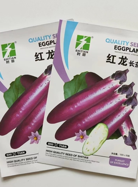 时田红龙长茄种子早熟紫红茄子种籽肉白色长条形春秋蔬菜瓜果种子