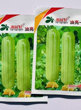 湘妹籽油亮一号丝瓜种子白绿色早熟种籽短棒油亮 白油肉丝瓜种子