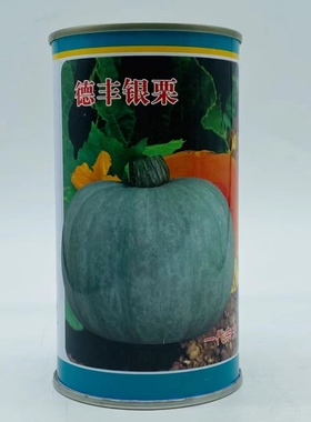 德丰银栗南瓜种子扁圆形银灰色甘甜粉面贝贝板栗南瓜种籽春秋播种