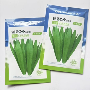 欧兰德锦香2号油麦菜种子四季播耐热耐寒耐抽苔高产抗病油麦菜籽