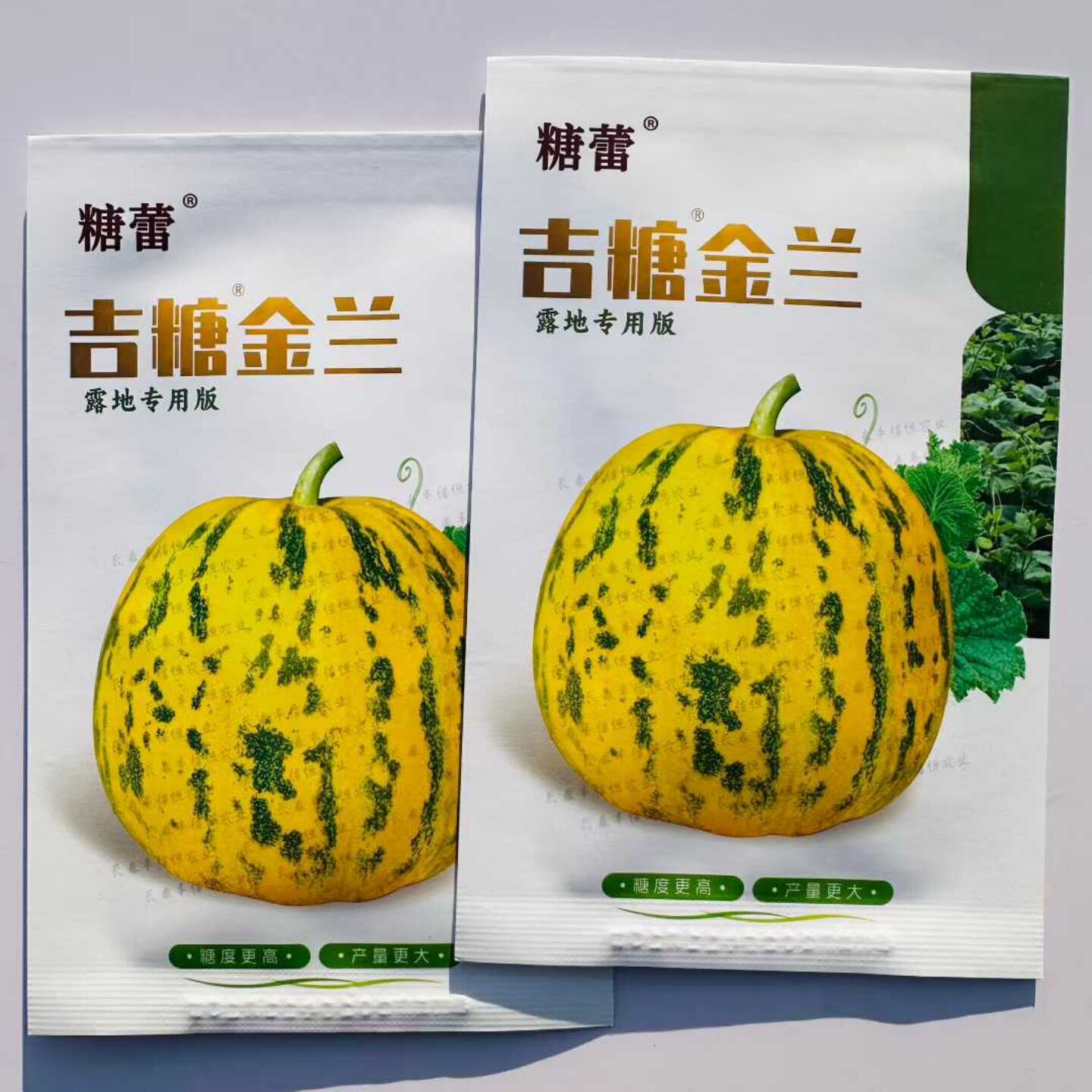 糖蕾吉糖金兰甜瓜种子早熟高糖花皮特大八里香种籽春秋香瓜种绿肉