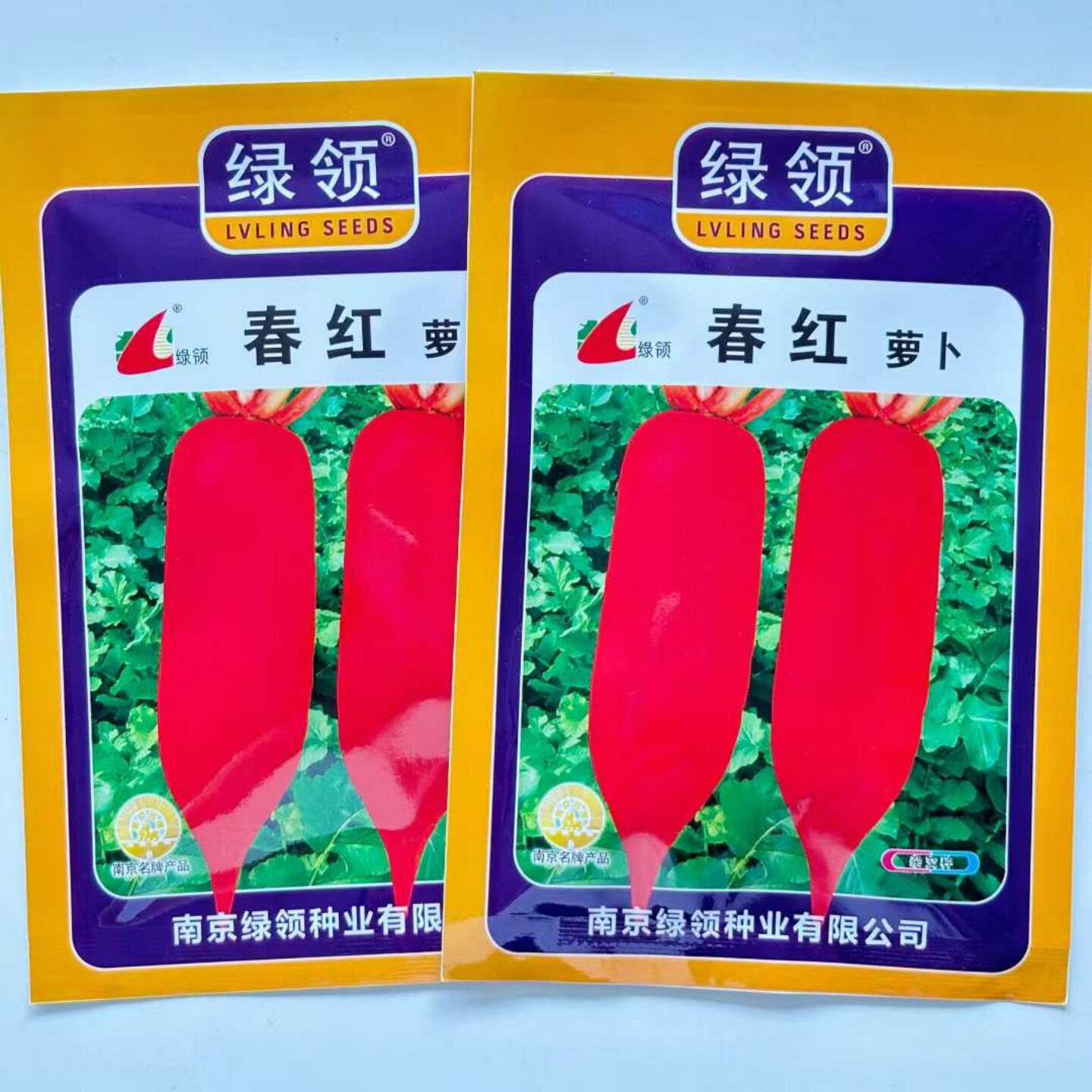 绿领春红萝卜种子早春红皮白肉萝蔬菜种子/种苗