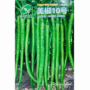 合丰种业美椒10号辣椒种子晚熟鲜食微辣长线椒种籽细长羊角椒种子