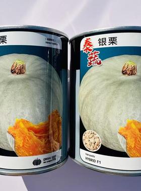 秦蔬银栗南瓜种子板栗南瓜种籽香甜干面肉厚杂交银灰色贵族南瓜籽