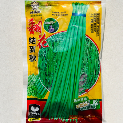 翻花结到秋长豆角种子翻花率高采收期长豆角蔬菜种籽四季播种豇豆