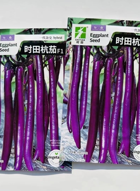 时田杭茄种子早熟长线茄种籽春秋紫红长茄种子耐寒抗病耐贮运高产