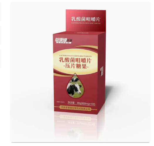 乳酸菌咀嚼片100片嚼着吃肠道益生菌儿童成人活菌益健康80g大容量