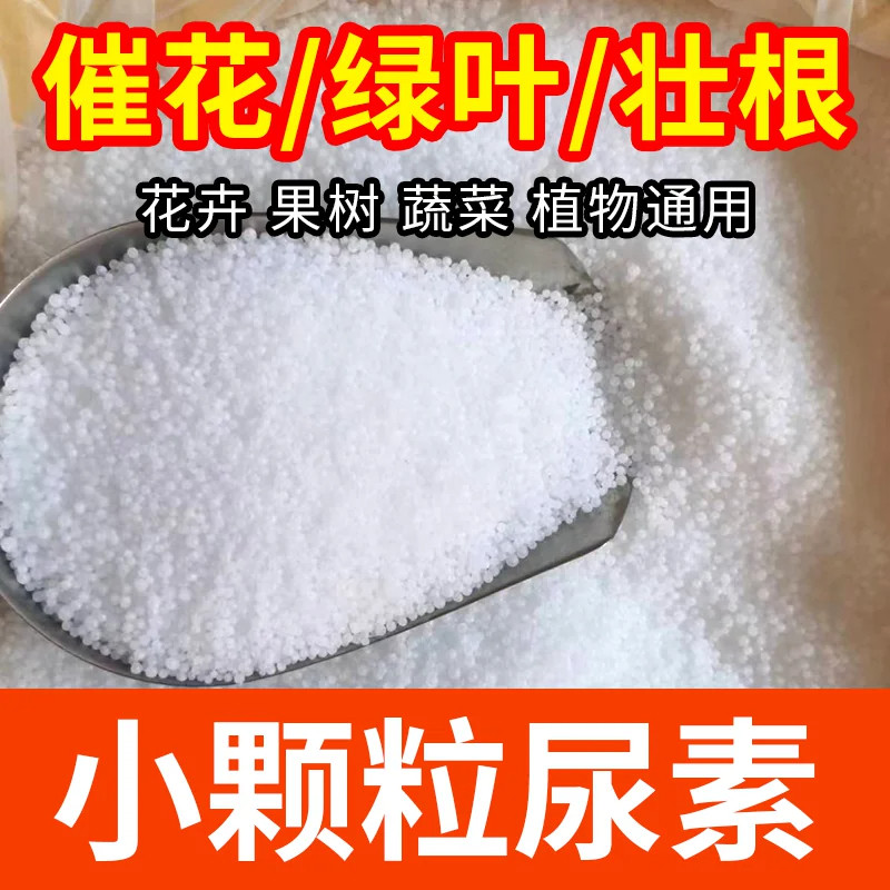 正品小颗粒尿素肥料蔬菜氮肥花卉种菜肥果蔬肥料植物盆栽农用通用