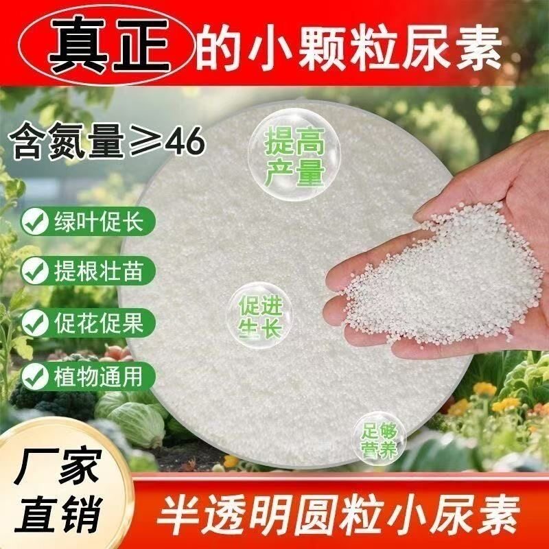 正品小颗粒尿素肥料蔬菜氮肥花卉种菜肥果蔬肥料植物盆栽农用通用