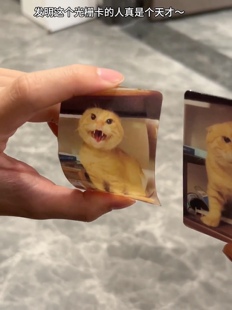 耄耋猫光栅卡猫猫变换明信片卡幻影哈吉马圆头西部菱斑响尾蛇小卡