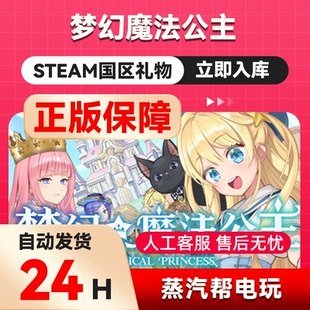 梦幻魔法公主 steam正版礼物 国区礼物赠送 好友赠礼