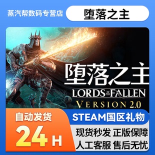 好友礼物 国区礼物 Lords Fallen Steam正版 the 堕落之主