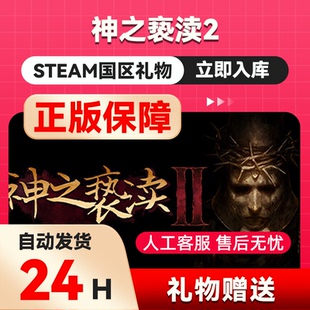 steam正版 神之亵渎2 好友礼物 国区礼物    正版礼物