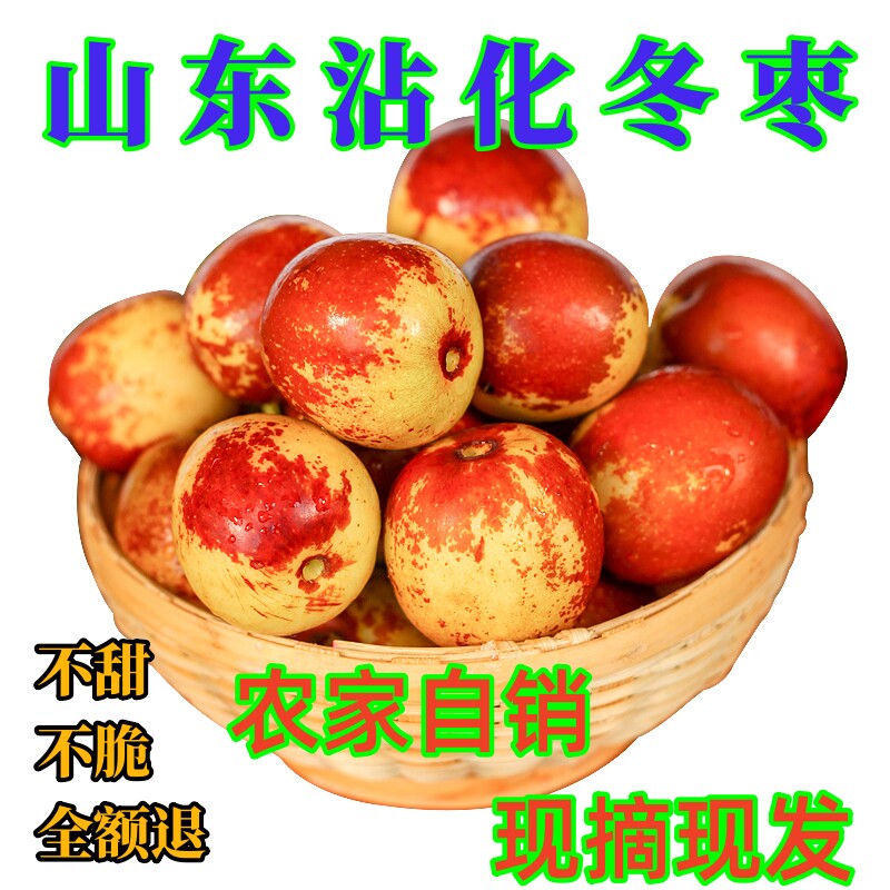 正宗沾化冬枣新鲜采摘脆甜皮包