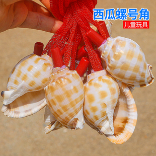 地摊小玩具创意海螺贝壳工艺品西瓜螺号玩具口哨吹螺旅游区纪念品
