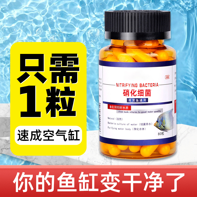 硝化细菌鱼缸专用胶囊净水活菌干粉养鱼水族消化细菌鱼用水族 宠物/宠物食品及用品 硝化细菌 原图主图