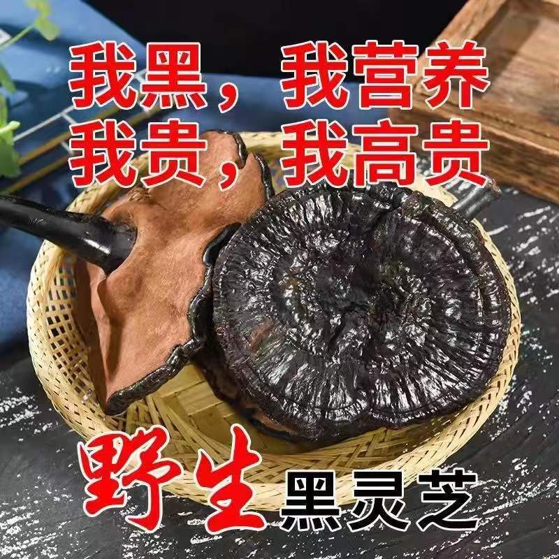 野生灵芝一斤装假一赔十