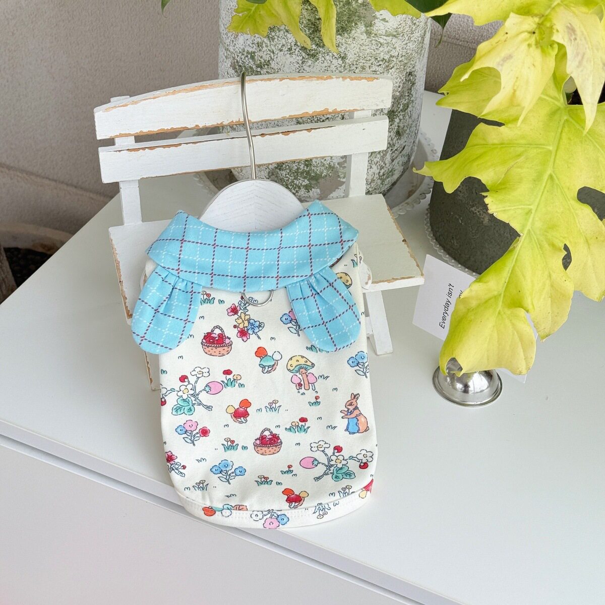 春季新款宠物衣服泰迪比熊蓝猫英短可爱娃娃领衣服薄款背心