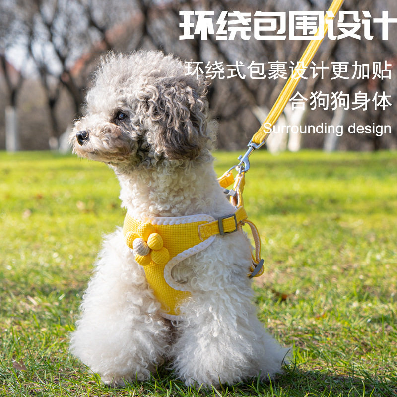 狗狗牵引绳背心式泰迪比