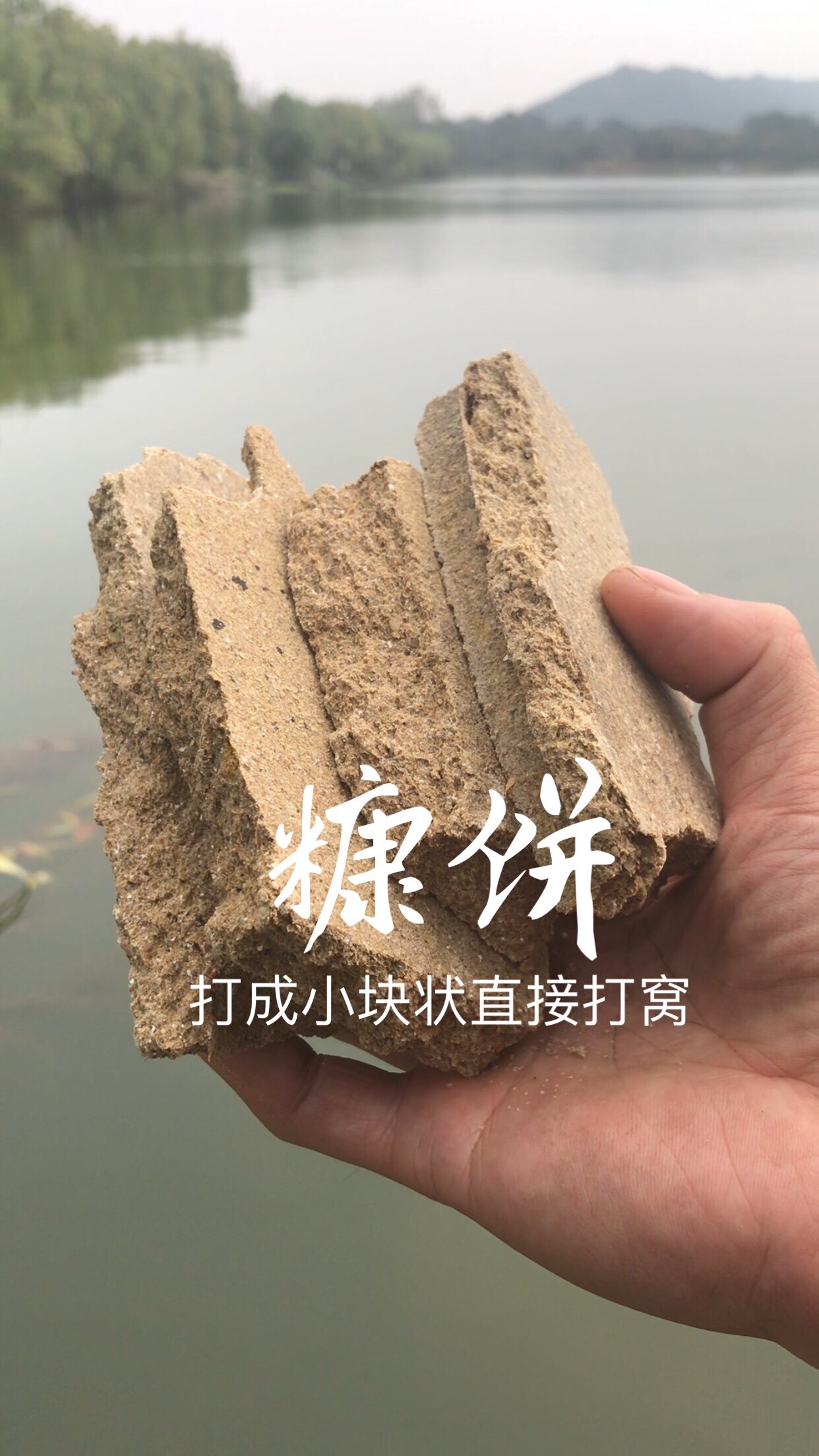 湖南大圆原味糠饼窝料油糠野钓湖库钓鱼打窝刘志强打窝用大鱼窝料