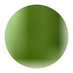 欧石竹种子草坪苗花籽花苗带花盆栽地被植物庭院阳台花卉开花草坪