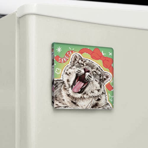 雪豹兔狲猞猁荒漠猫方形亚克力软磁冰箱贴西宁野生动物园生态文创