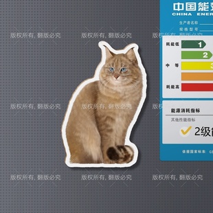 【天音文创】荒漠猫糊糊6cm异形软磁冰箱贴
