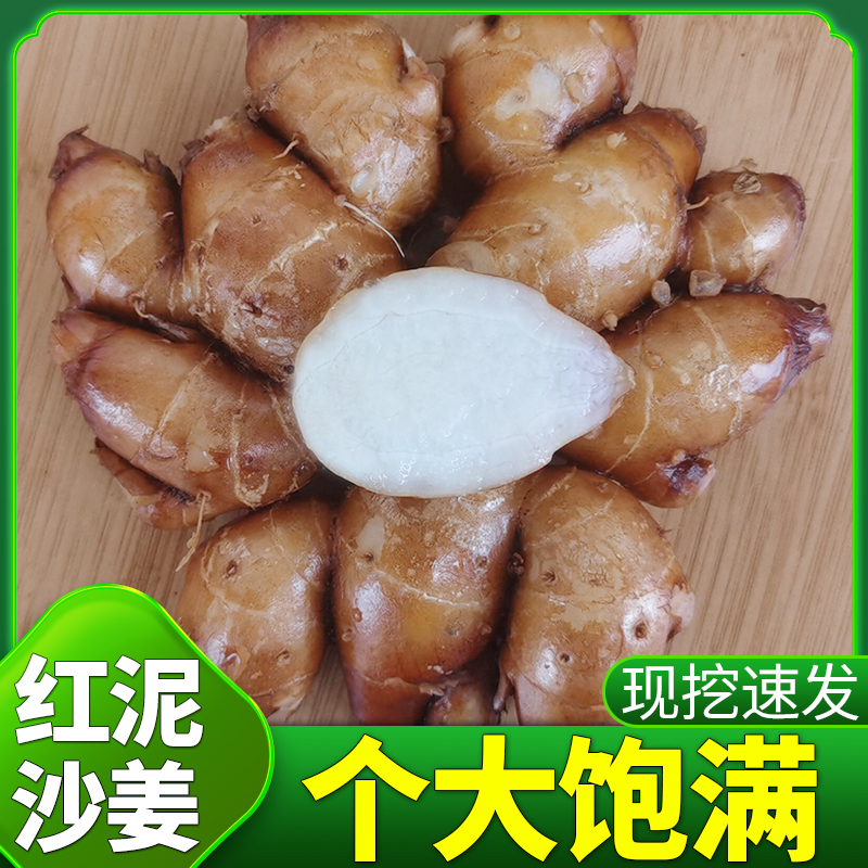 正品沙姜新鲜个大饱满香浓当天挖
