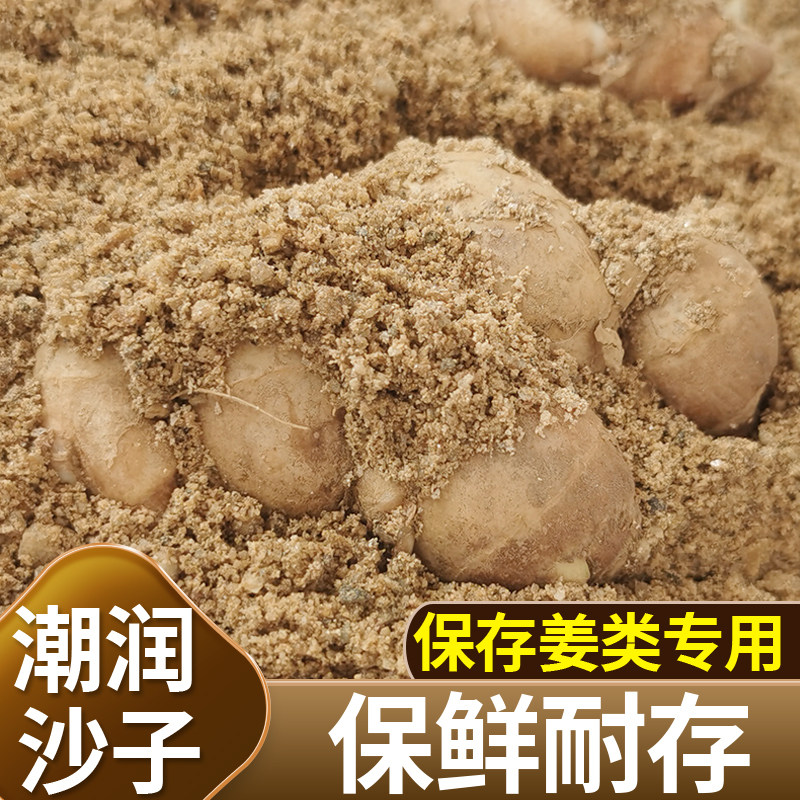 优质天然河沙潮沙子泥土养花粗细沙中沙栽种埋生姜沙姜保鲜存放久