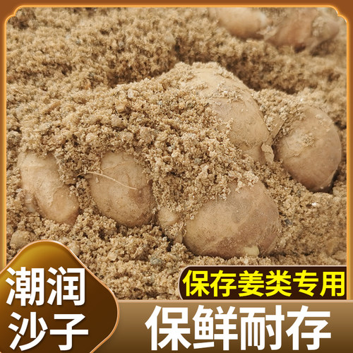 优质河沙中细沙保存沙姜黄姜专用