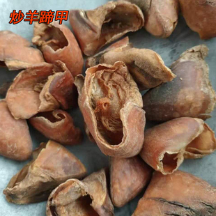 蹄甲100克包邮生羊蹄甲实体中药店各种中草药蹄甲 炒牛羊猪蹄甲