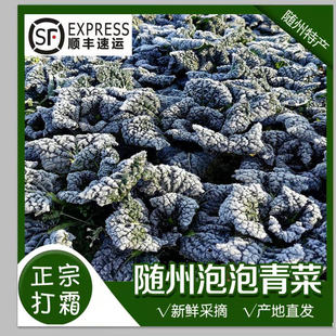 湖北随州特产泡泡青 青菜 湖北泡泡菜 农家新鲜打霜蔬菜黑叶子
