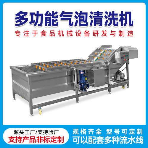 果蔬气泡清洗机多功能大姜清洗机