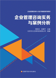 企业管理咨询实务与案例分析