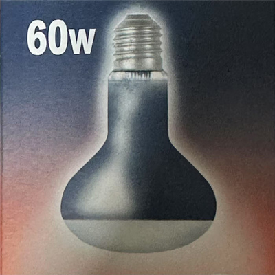 小柯尔鸭（专用保温灯）专用养鸭灯 更好养 更健康 跟天气无关