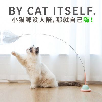 逗猫棒长杆钢丝耐咬羽毛