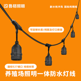 鲁格一体防水灯线养殖场种植大棚照明专用e27螺口灯座纯铜电源线