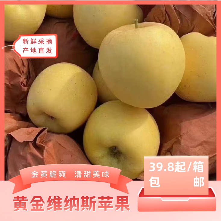 金黄脆爽清甜美味产地包邮直发