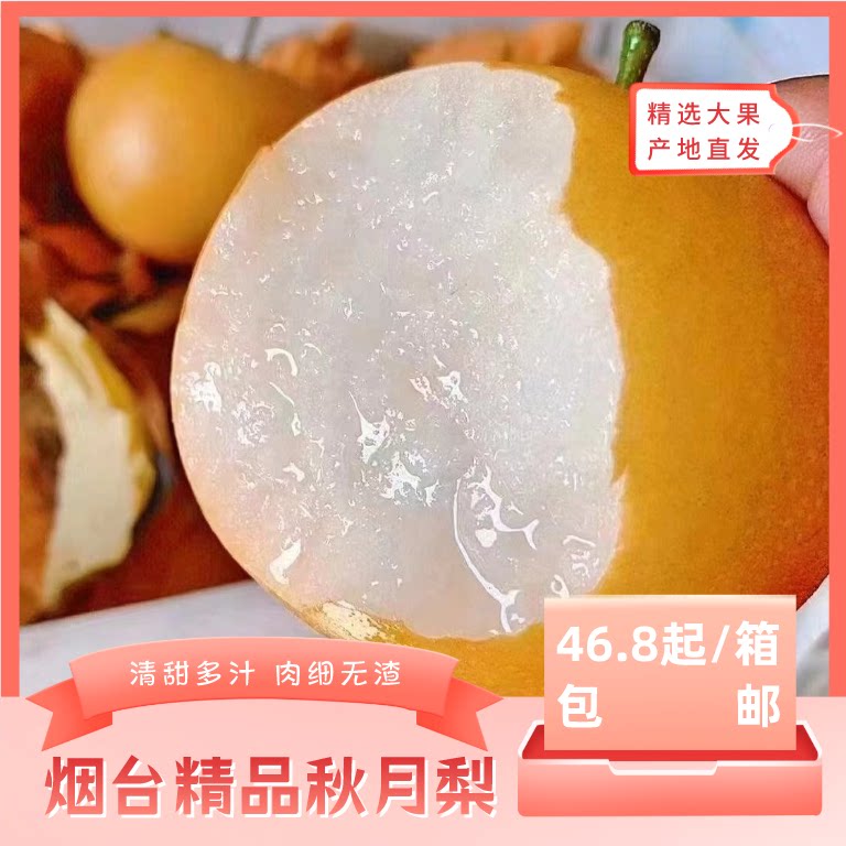 烟台精品秋月梨