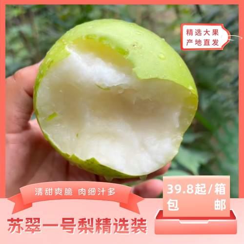 精选大果清甜爽脆肉细汁多