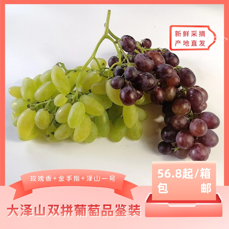 双拼玫瑰香·金手指产地直发